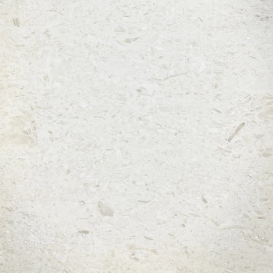 surface of white limestone pavers